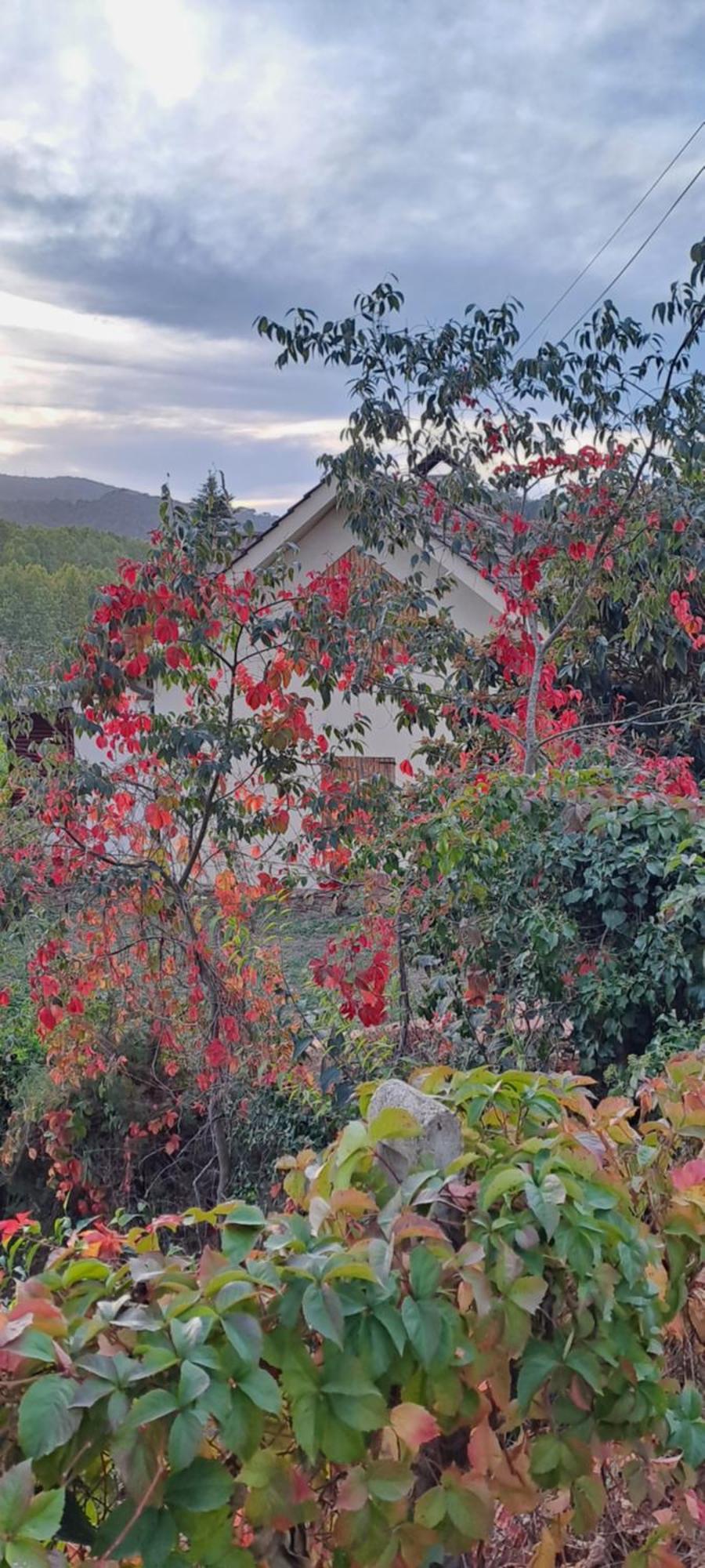 Chalet Entre Parques Naturales Vallgorguina Extérieur photo